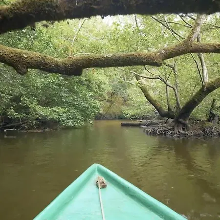 Cocoon Albatros, Golf View, Pool, Pine Trees And Ocean شقة موليات-إي-ما