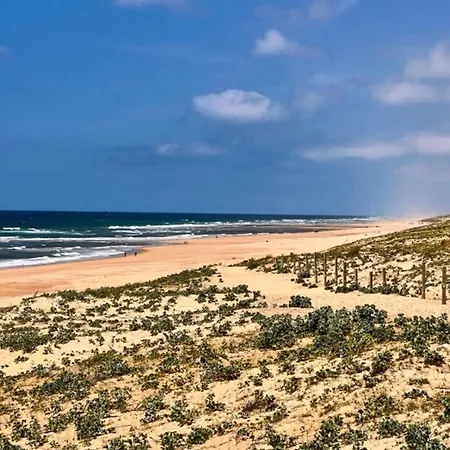 Cocoon Albatros, Golf View, Pool, Pine Trees And Ocean شقة *