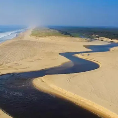 Cocoon Albatros, Golf View, Pool, Pine Trees And Ocean