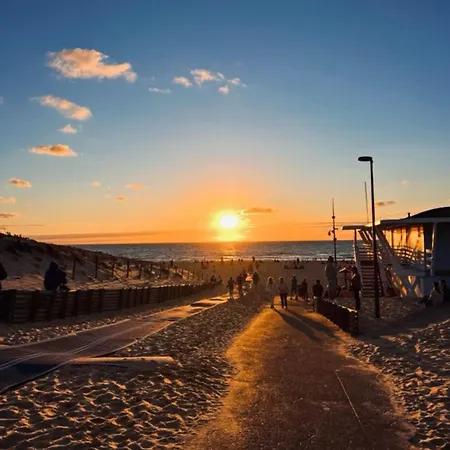 Cocoon Albatros, Golf View, Pool, Pine Trees And Ocean Lägenhet Moliets-et-Maa