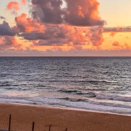 Lägenhet Cocoon Albatros, Golf View, Pool, Pine Trees And Ocean Moliets-et-Maa