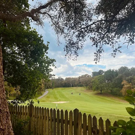 Cocoon Albatros, Golf View, Pool, Pine Trees And Ocean 公寓 莫列马阿