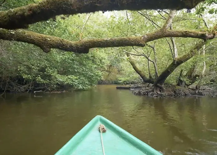 Cocoon Albatros, Golf View, Pool, Pine Trees And Ocean Lejlighed Moliets-et-Maa