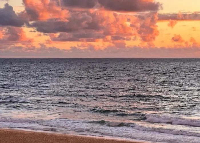 Lejlighed Cocoon Albatros, Golf View, Pool, Pine Trees And Ocean Moliets-et-Maa