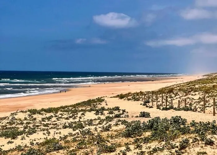 Cocoon Albatros, Golf View, Pool, Pine Trees And Ocean Lejlighed *