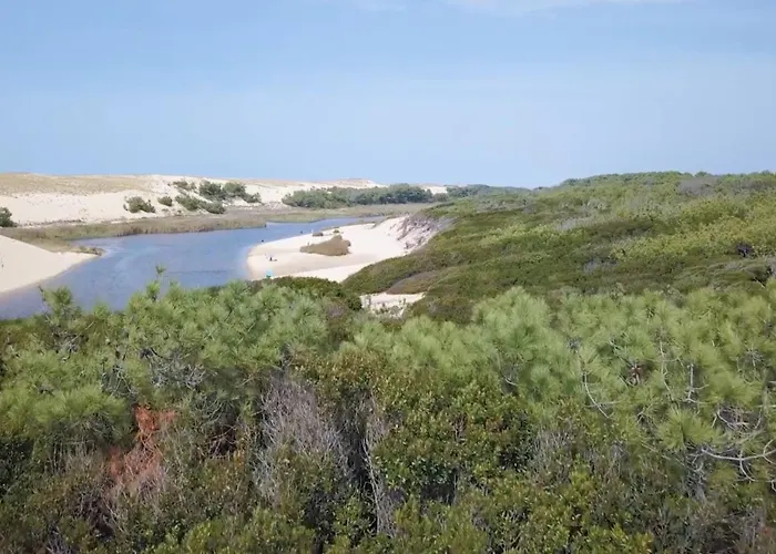 Cocoon Albatros, Golf View, Pool, Pine Trees And Ocean *