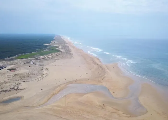 Cocoon Albatros, Golf View, Pool, Pine Trees And Ocean Moliets-et-Maa