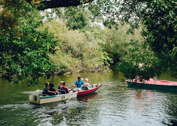 Cocoon Albatros, Golf View, Pool, Pine Trees And Ocean Lejlighed