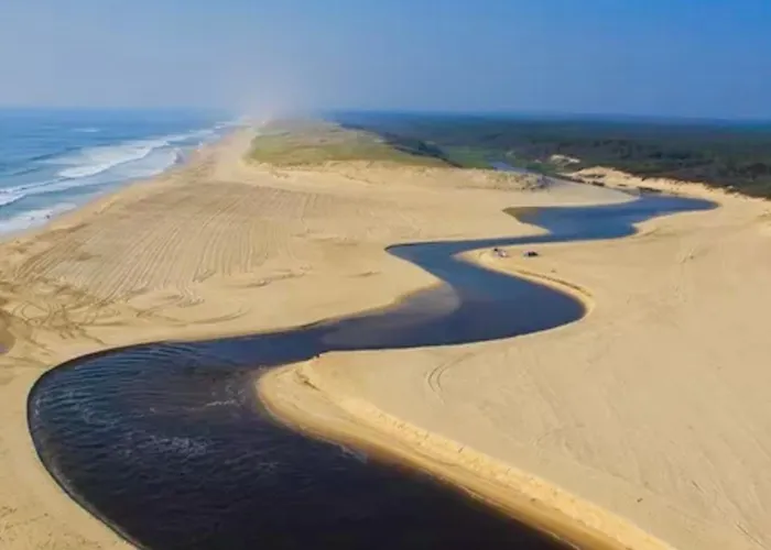 Cocoon Albatros, Golf View, Pool, Pine Trees And Ocean